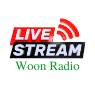 Woon Radio